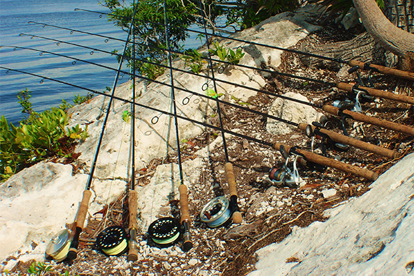 Maverick / Hewes 1-2 pasajeros