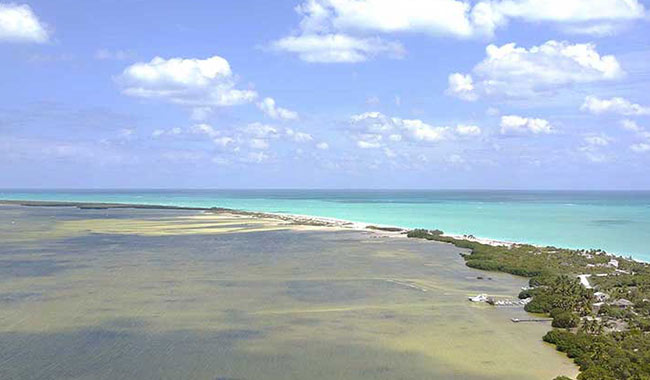 Isla Blanca  Light Tackle and Fly fishing tour