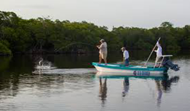 Isla Blanca  Light Tackle and Fly fishing tour