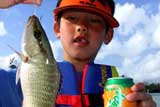 pesca para menores cancun